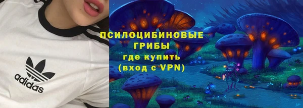 прущий лед Аркадак