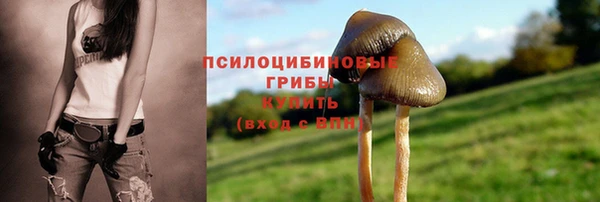 прущий лед Аркадак