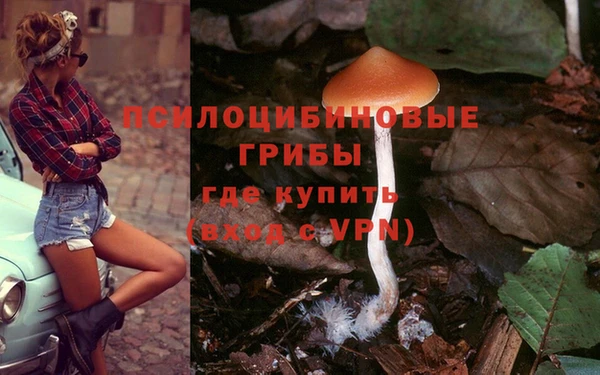 прущий лед Аркадак