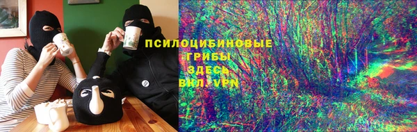 прущий лед Аркадак