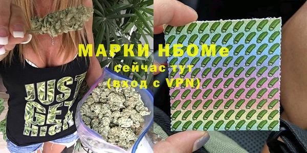 амф Арсеньев