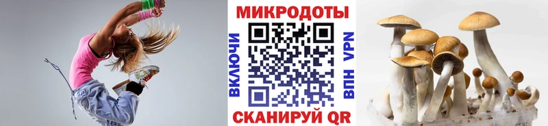 Галлюциногенные грибы мицелий  Верещагино 